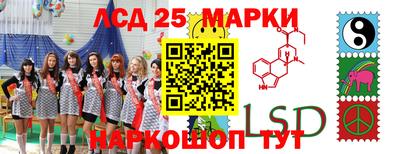 амф Камышлов