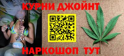 мяу мяу мука Кандалакша