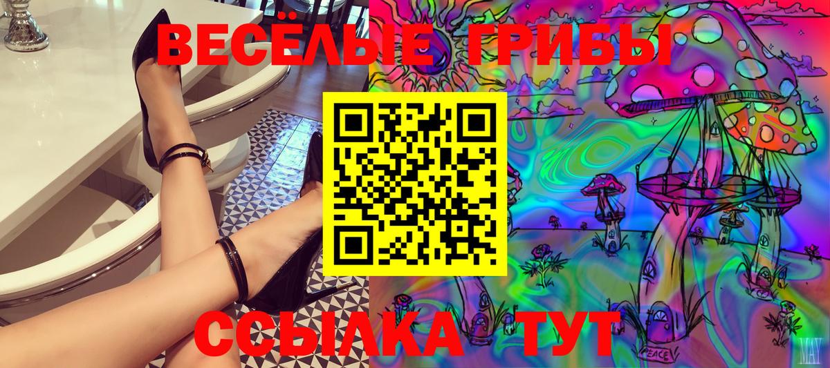 Галлюциногенные грибы Psilocybine cubensis  Вход с VPN  Галлюциногенные грибы прущие грибы  Крымск 
